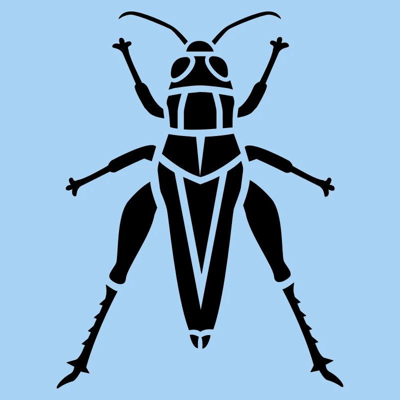 Insectes - Grasshopper