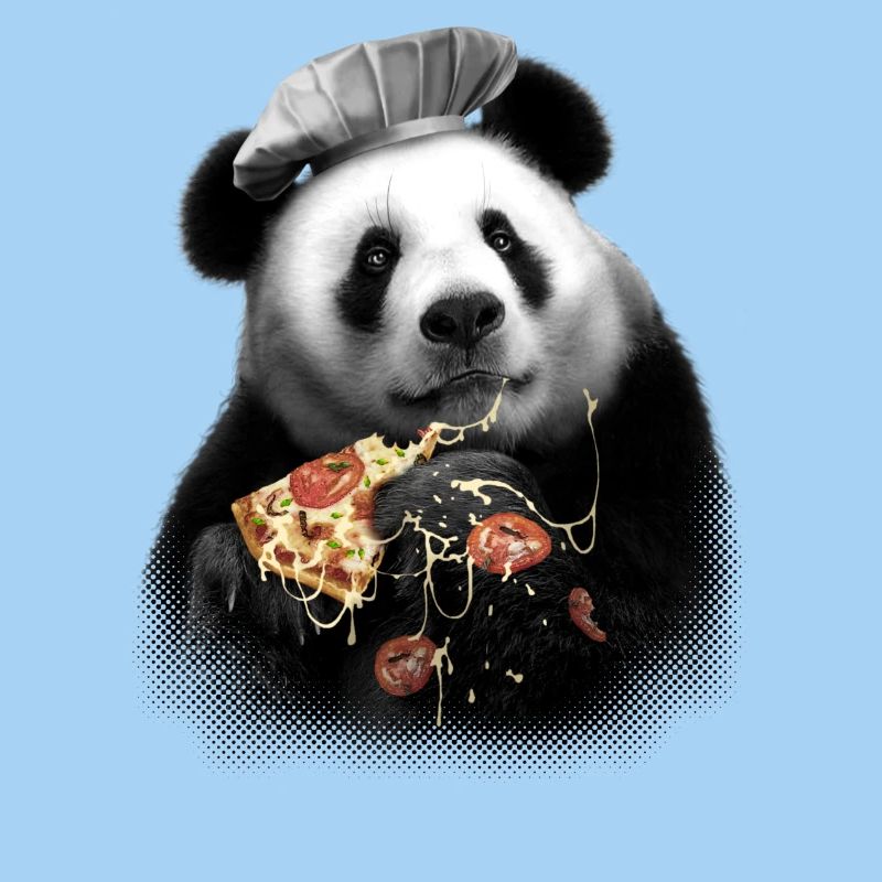 Pizza Panda