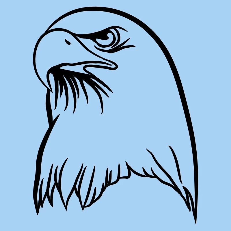Eagle freedom