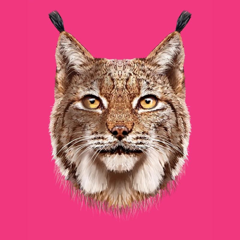 Luchs