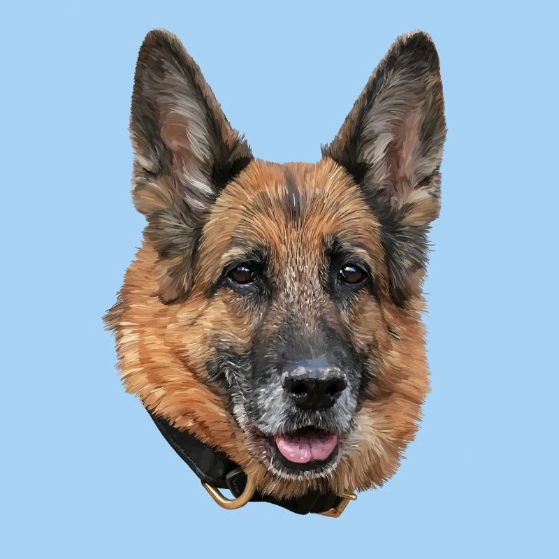 Schäferhund