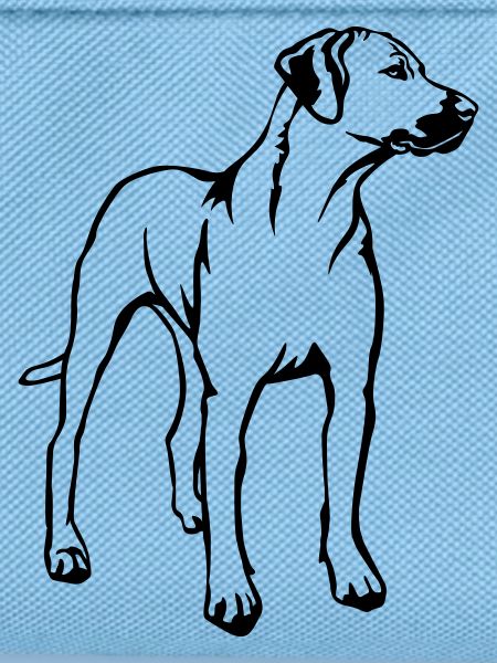 Rhodesian Ridgeback