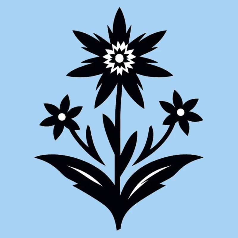 Edelweiß / Blume