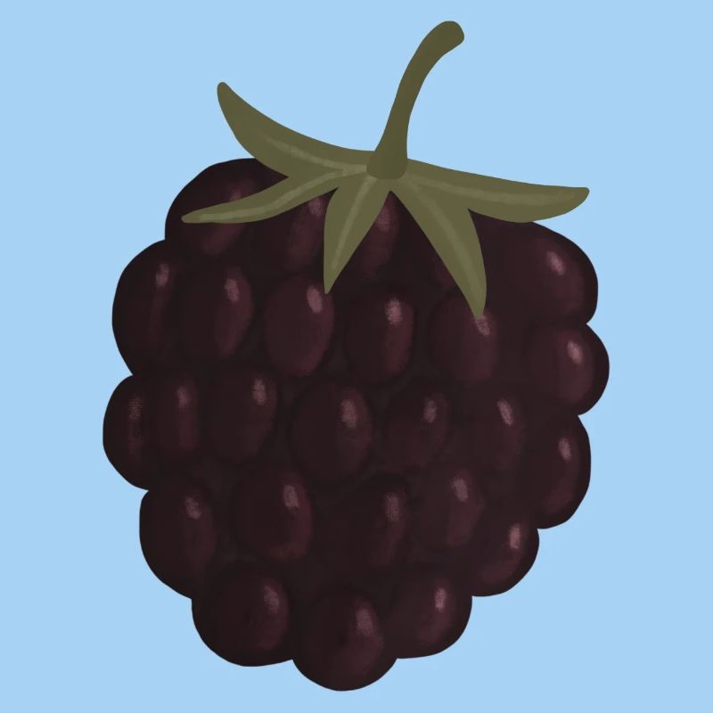 mûre