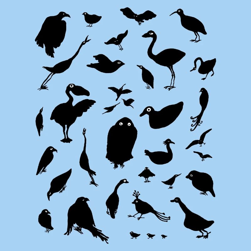 BIRDS