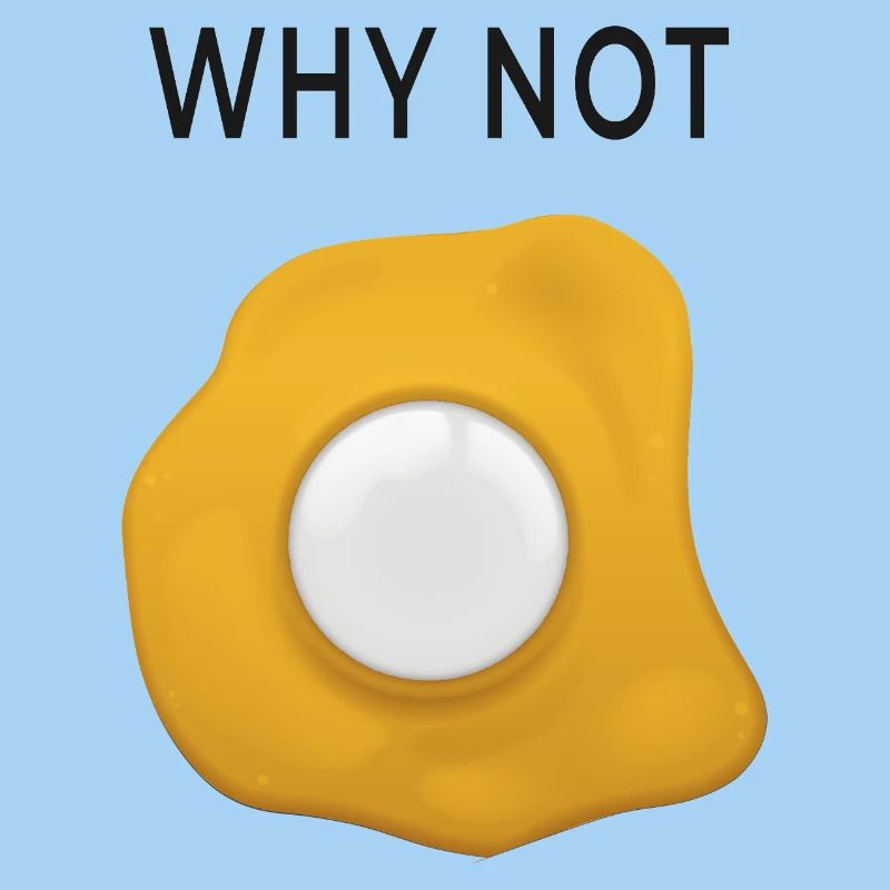 Why Not Rethinking Fried Eggs