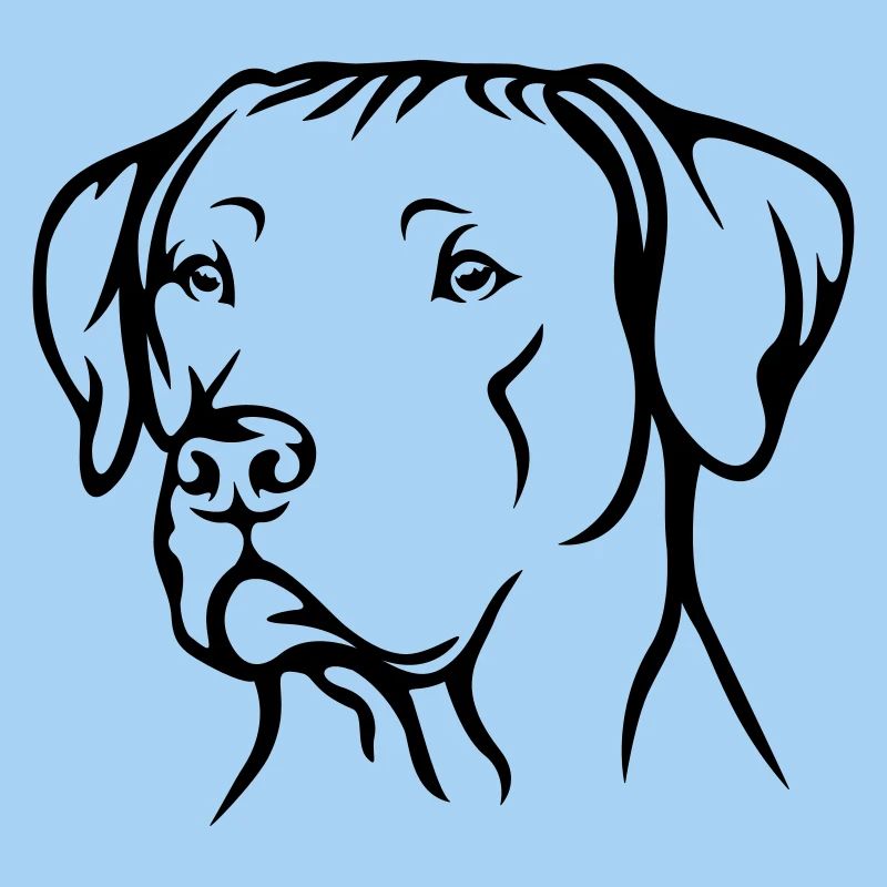 Rhodesian Ridgeback