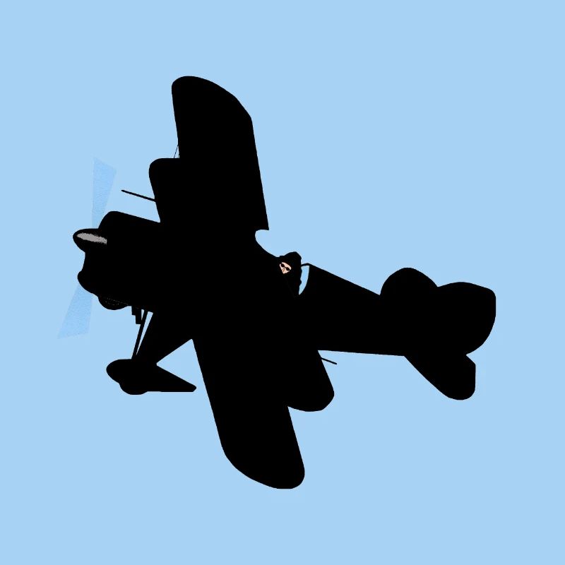 Flugzeug
