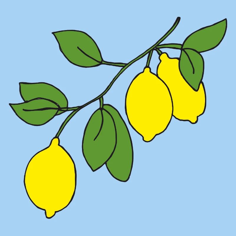 Branche de citronnier