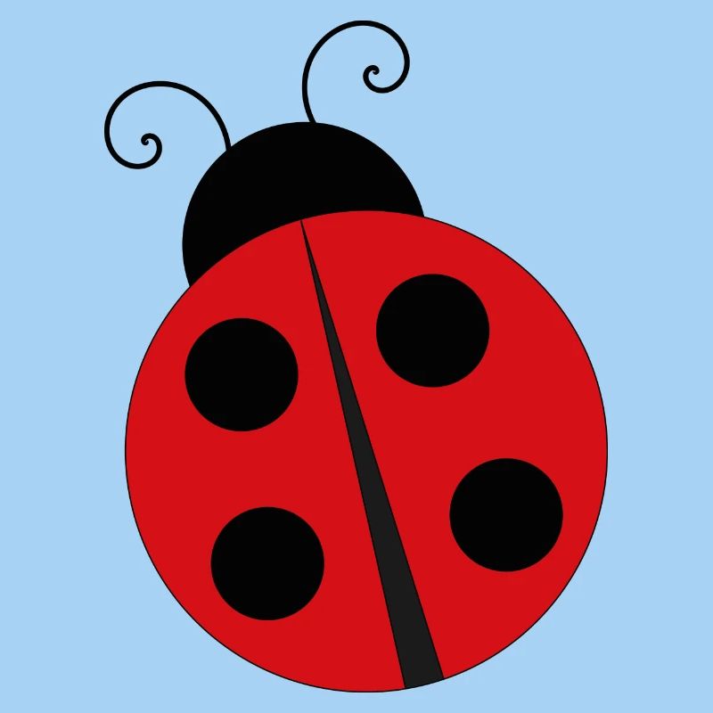 Coccinelle Ladybug