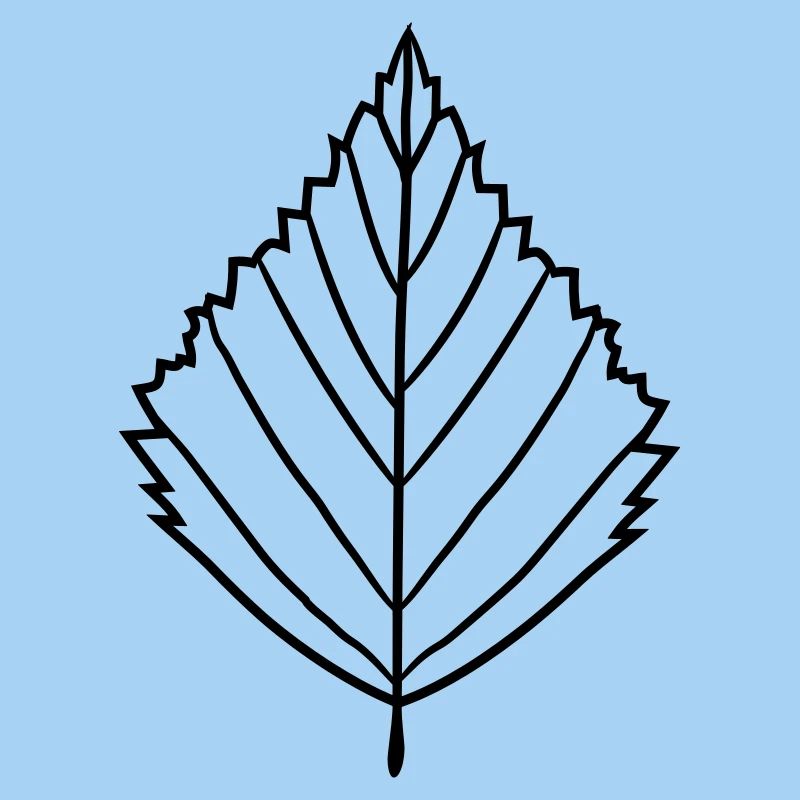 silhouette birch leaf tree plant shape clip art desig