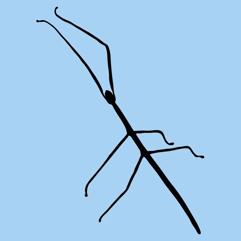 bois_ d'insectes_s1