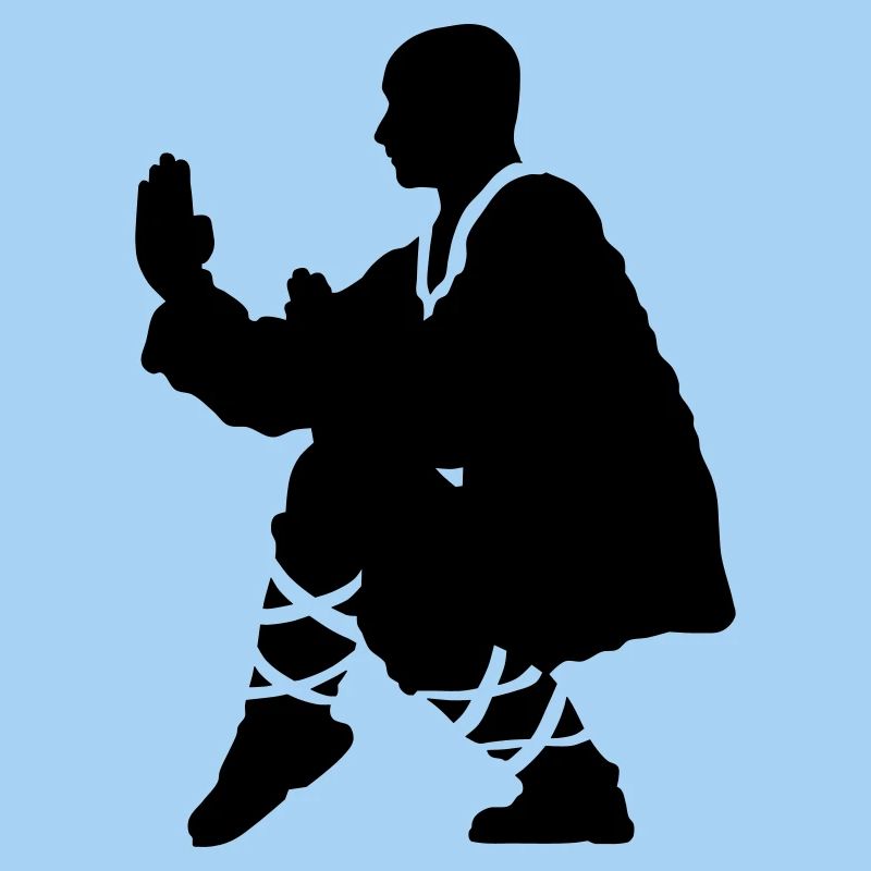 Kung fu Shaolin