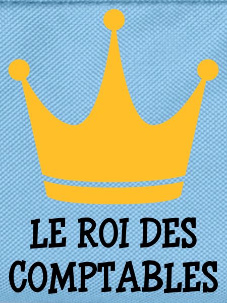 Accountant / Accounting / Comptable / Comptabilité