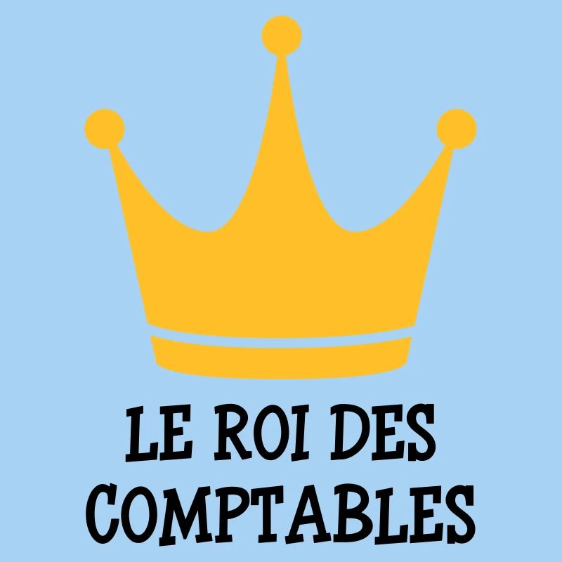 comptable / comptabilité / argent / Finance / Euro