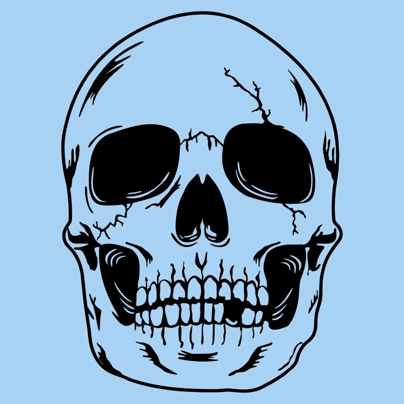 Schädelkopf des Skeletts
