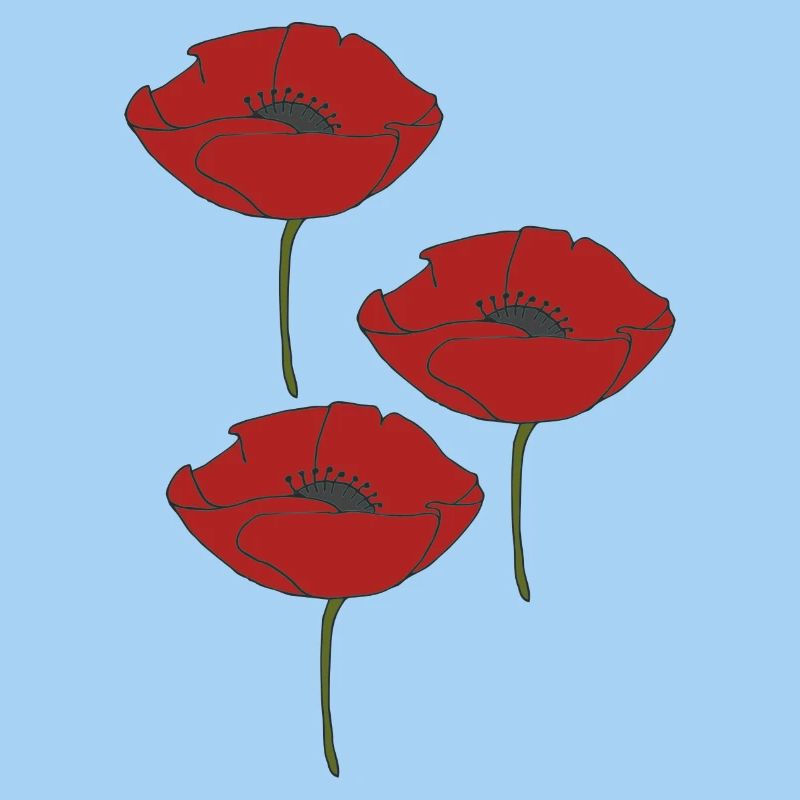 Coquelicots