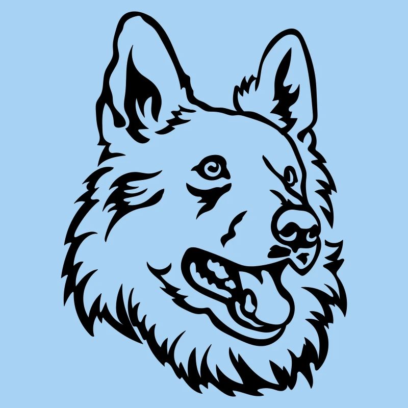 Swiss Shepherd Head