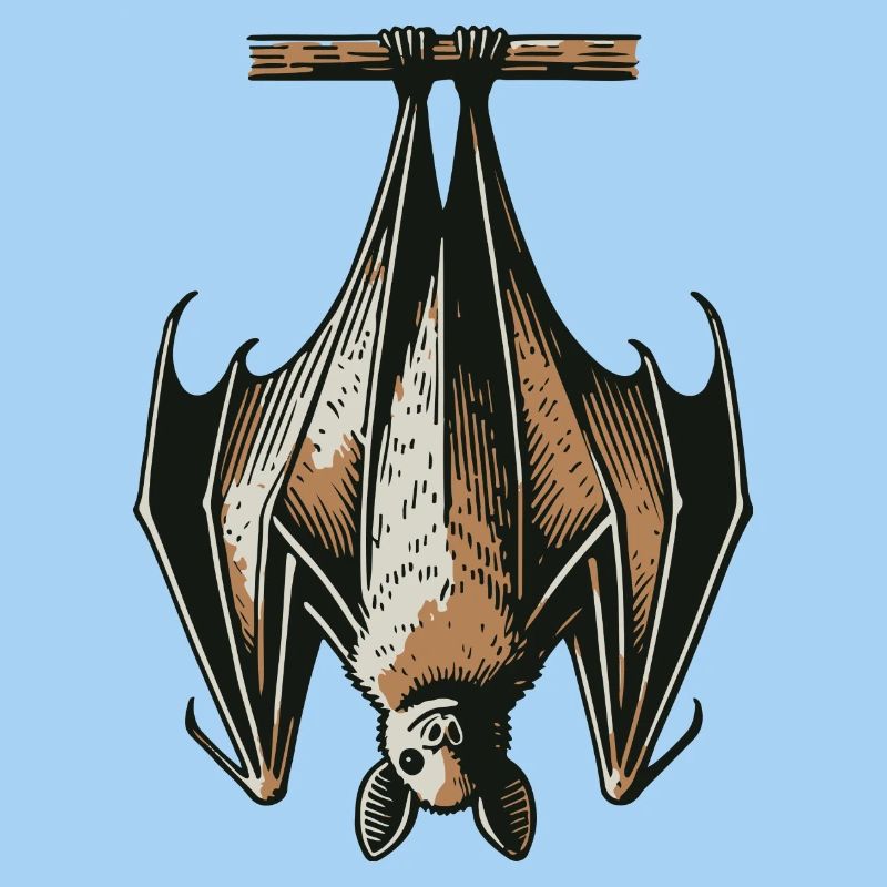 Fledermaus