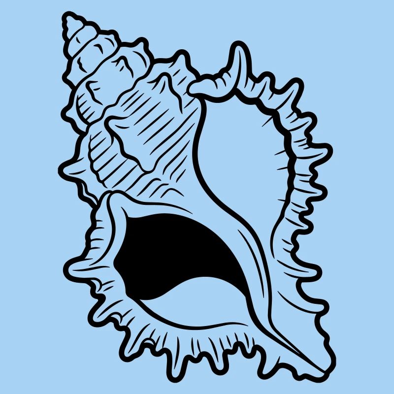 shell