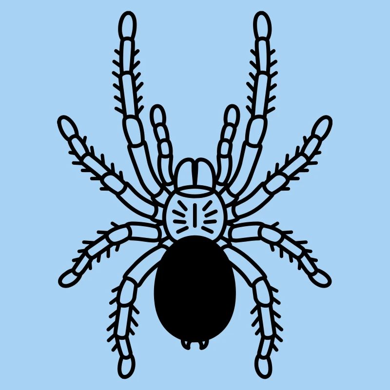 Tarentule Tarentule