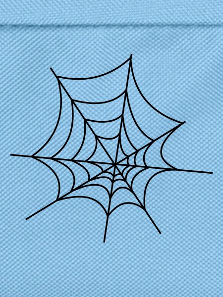 Spinnennetz