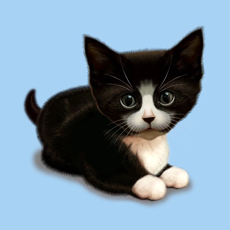 NETTE KATZE (leer)