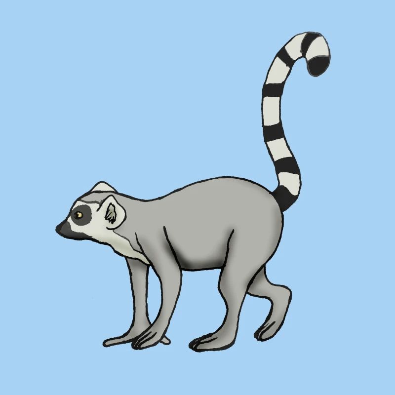 Lemur Katta