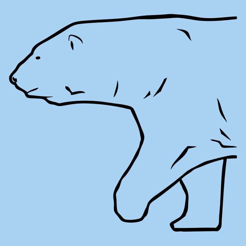 Polar Bear - Eisbär