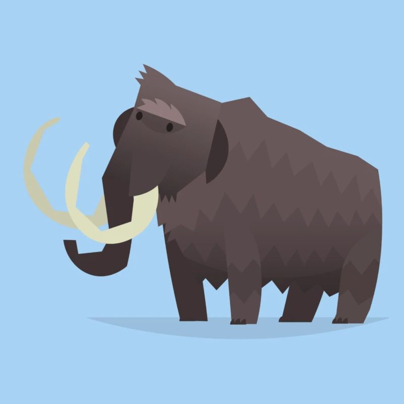 Mammut Design