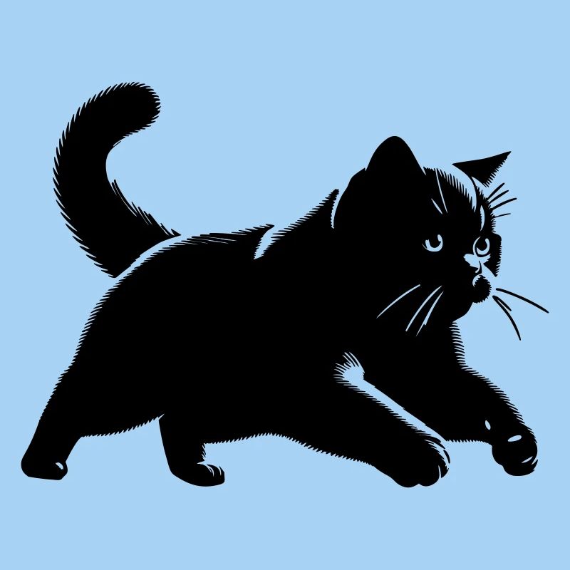 Britisch Kurzhaar Katze