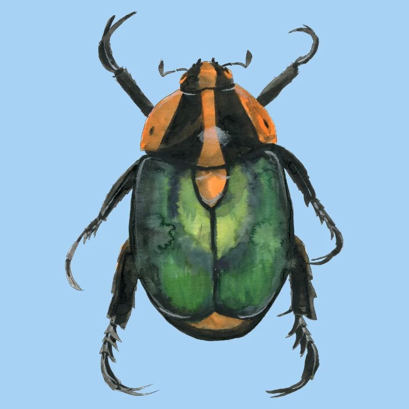 Kaefer2