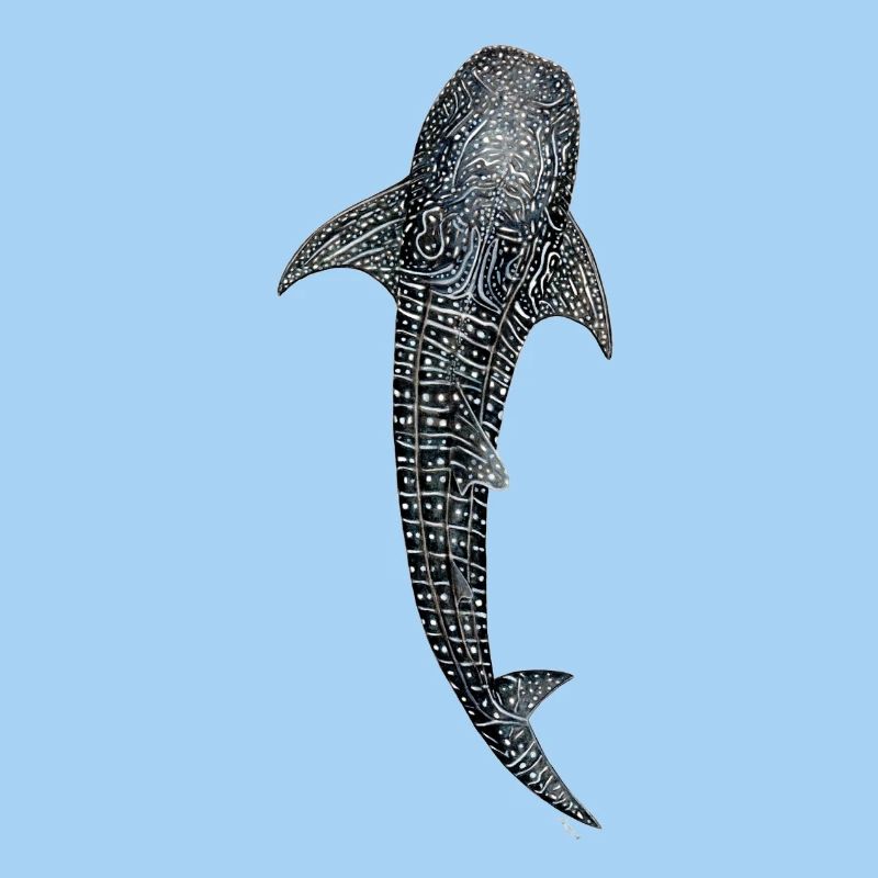 Baleine conception de requin pour les plongeurs, les pêcheurs