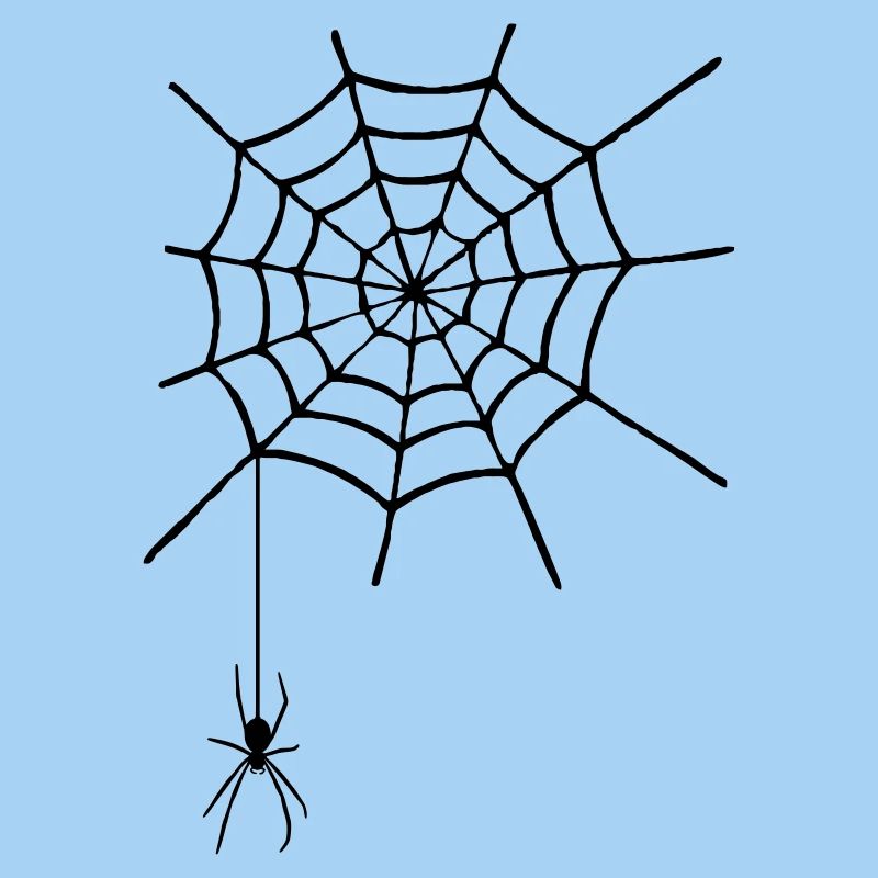 Spinnennetz mit Spinne
