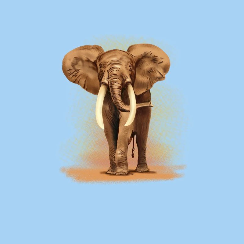 Elefant