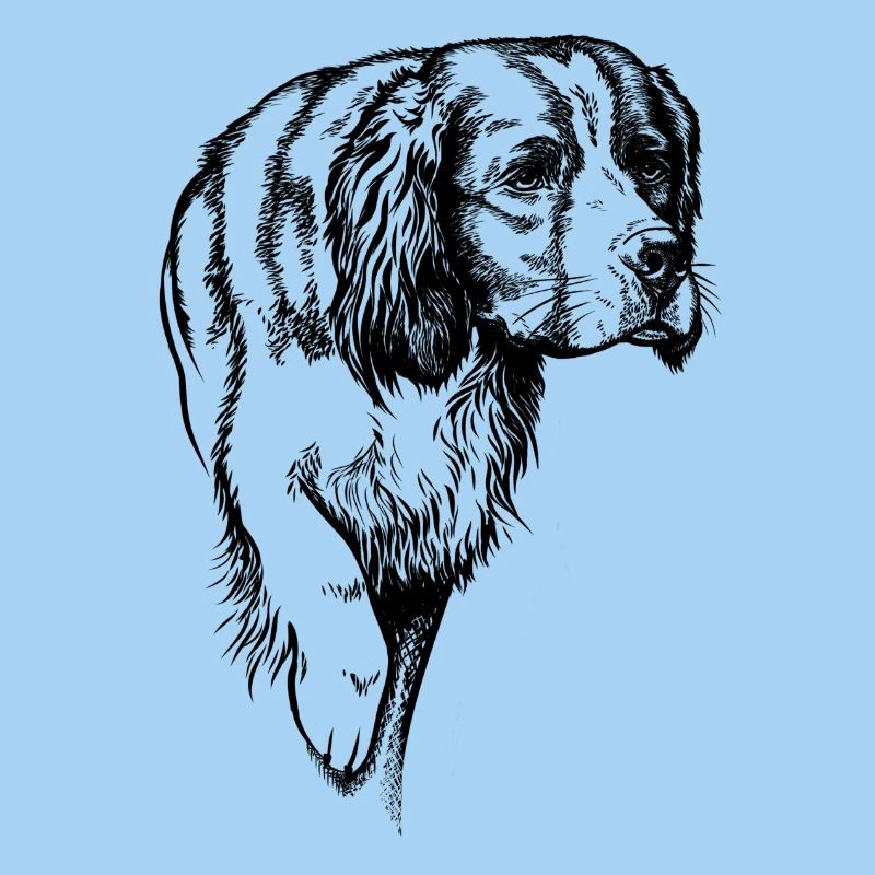 IRW Setter vorstehend