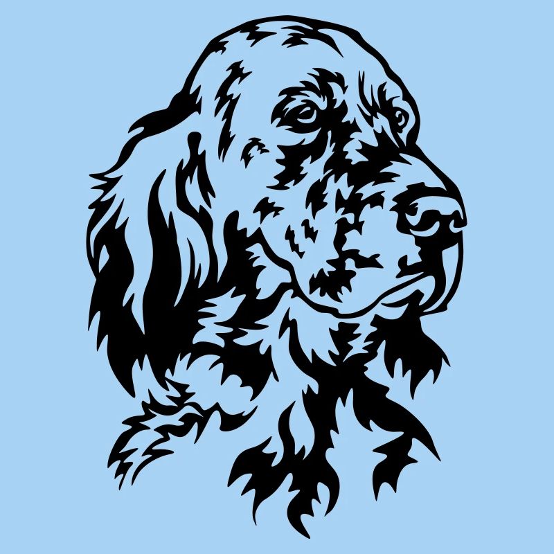 Englischer Setter Kopf