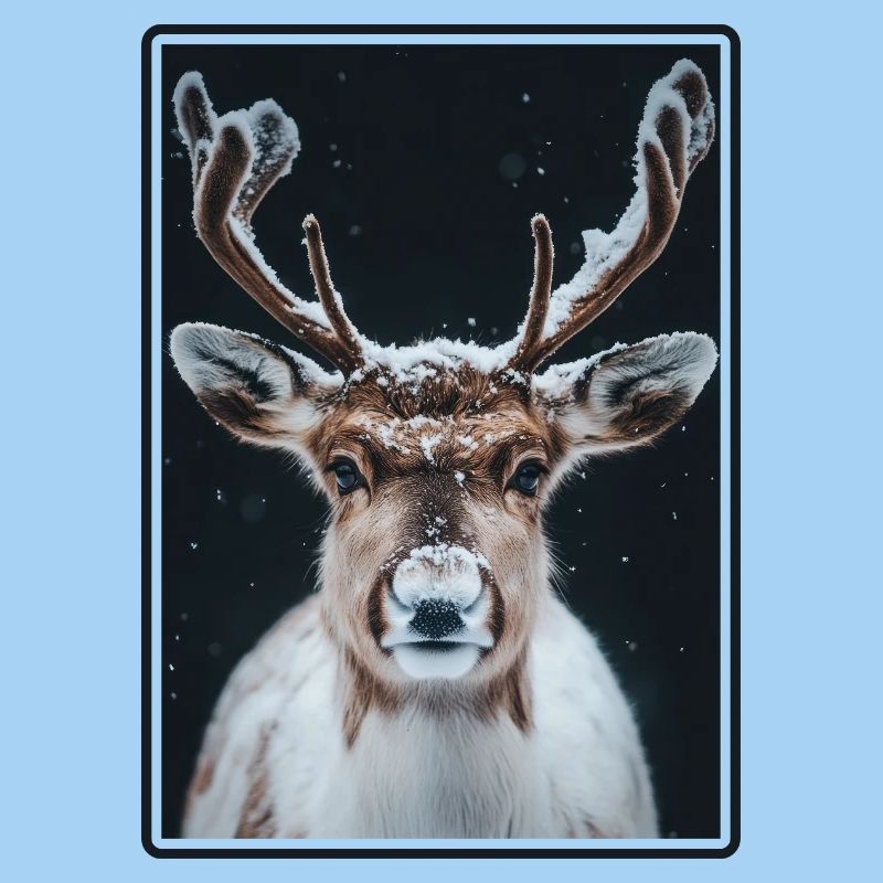 Reindeer Reindeer