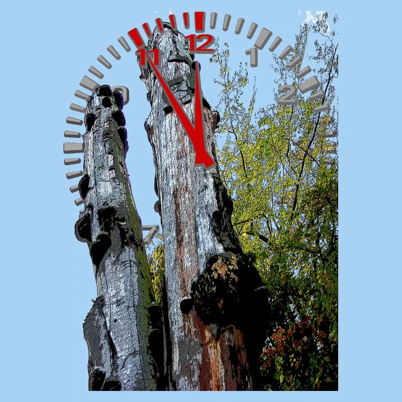 Timestamp on tree trunk 5 to 12