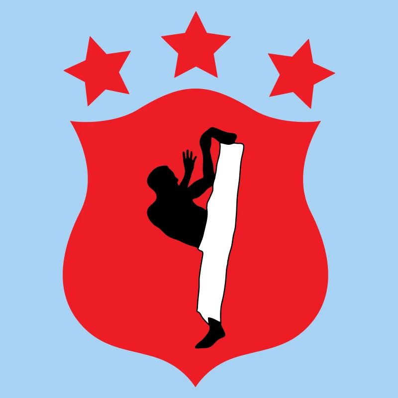 Capoeira - Combat - Danse