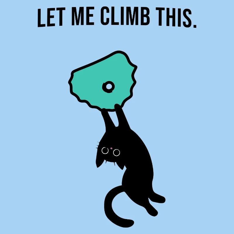 Boulder cat holds on to climbing hold