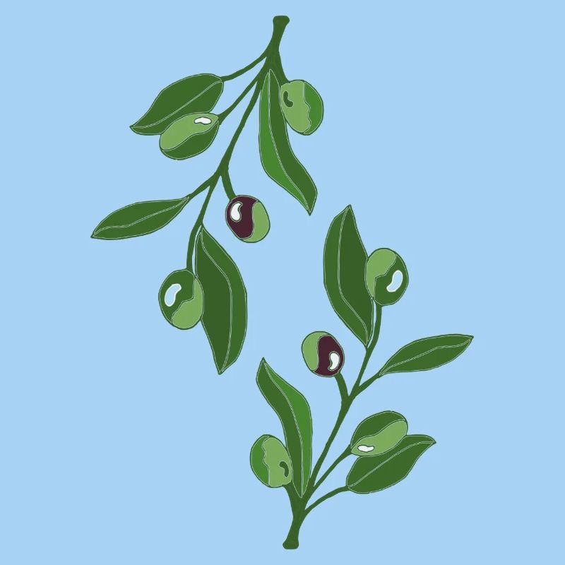 Illustration de la branche d’olivier verte élégante
