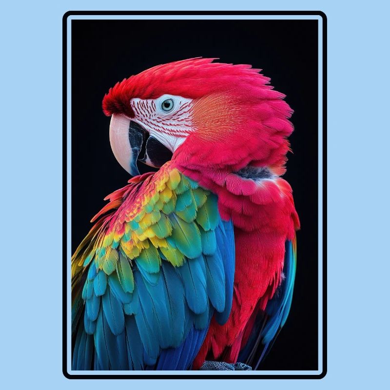 Macaw's Era