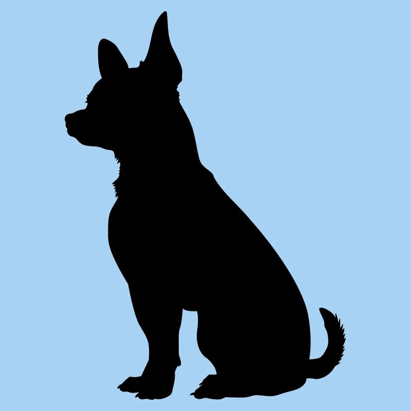 Hund