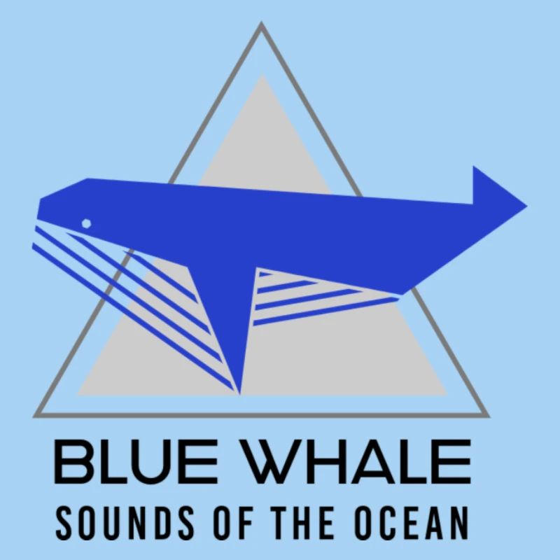 Blauwal -Klang des Ozeans