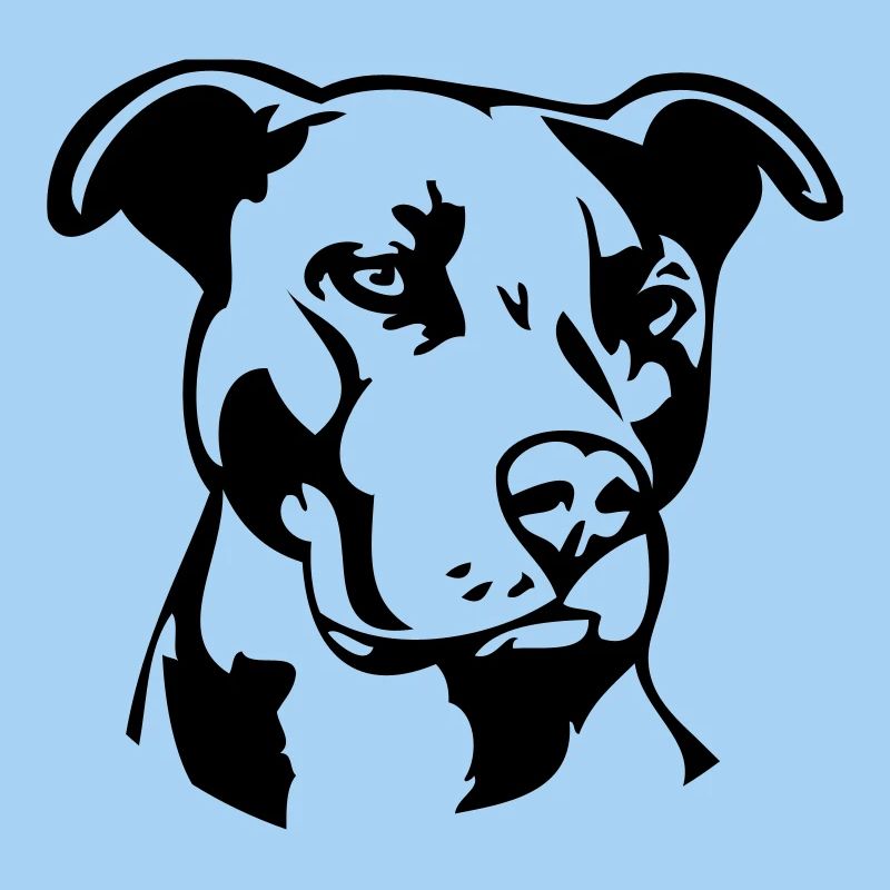 Pitbull einfarbig - Hund Kampfhund