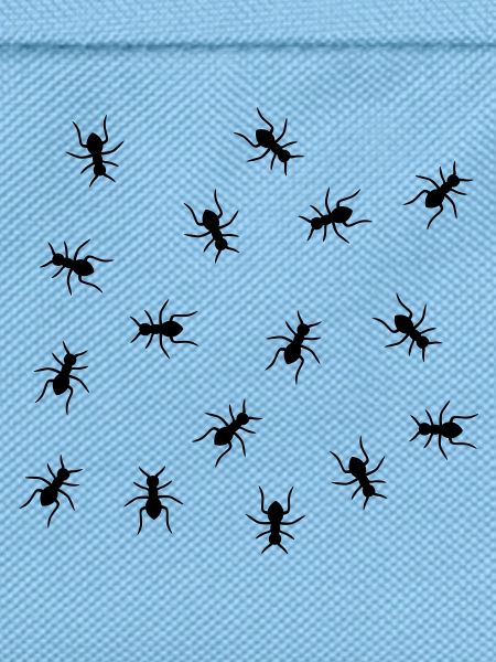Ants Design