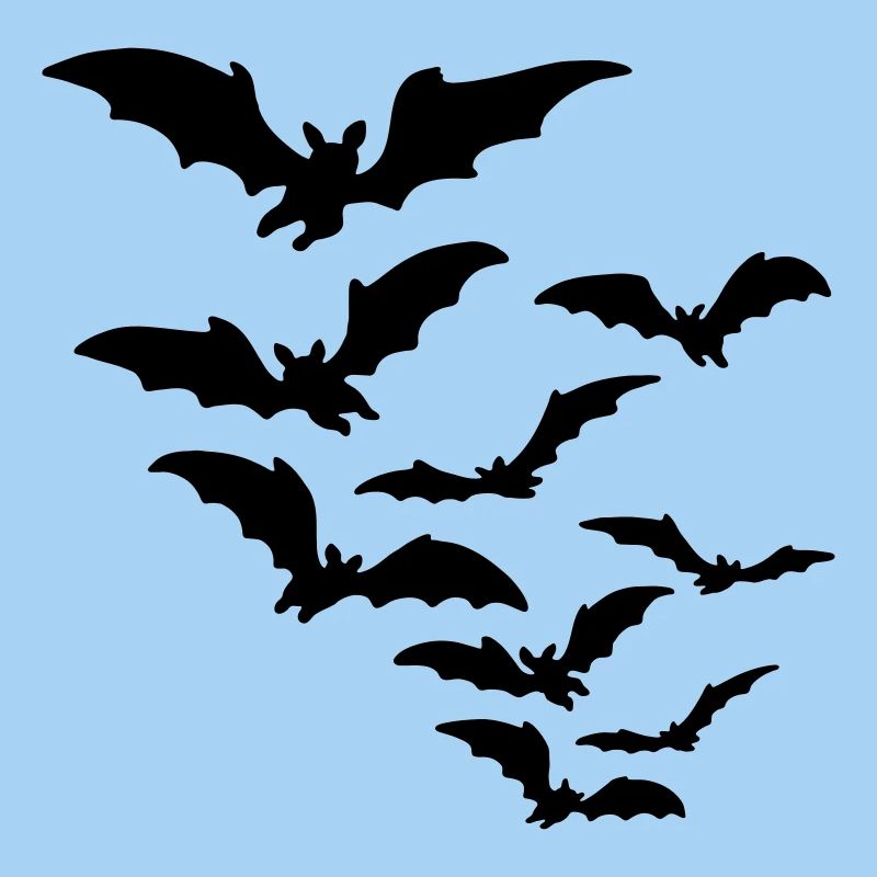fledermaus