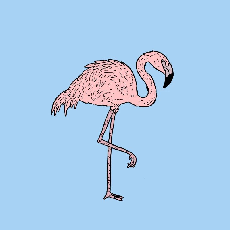 Flamingo - Comicstyle