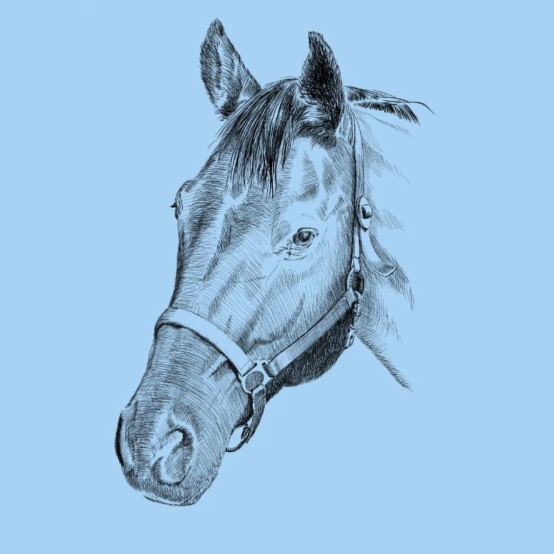 Pferd